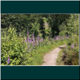 WhatsApp Image 2024-06-11 at 09.48.19.jpg